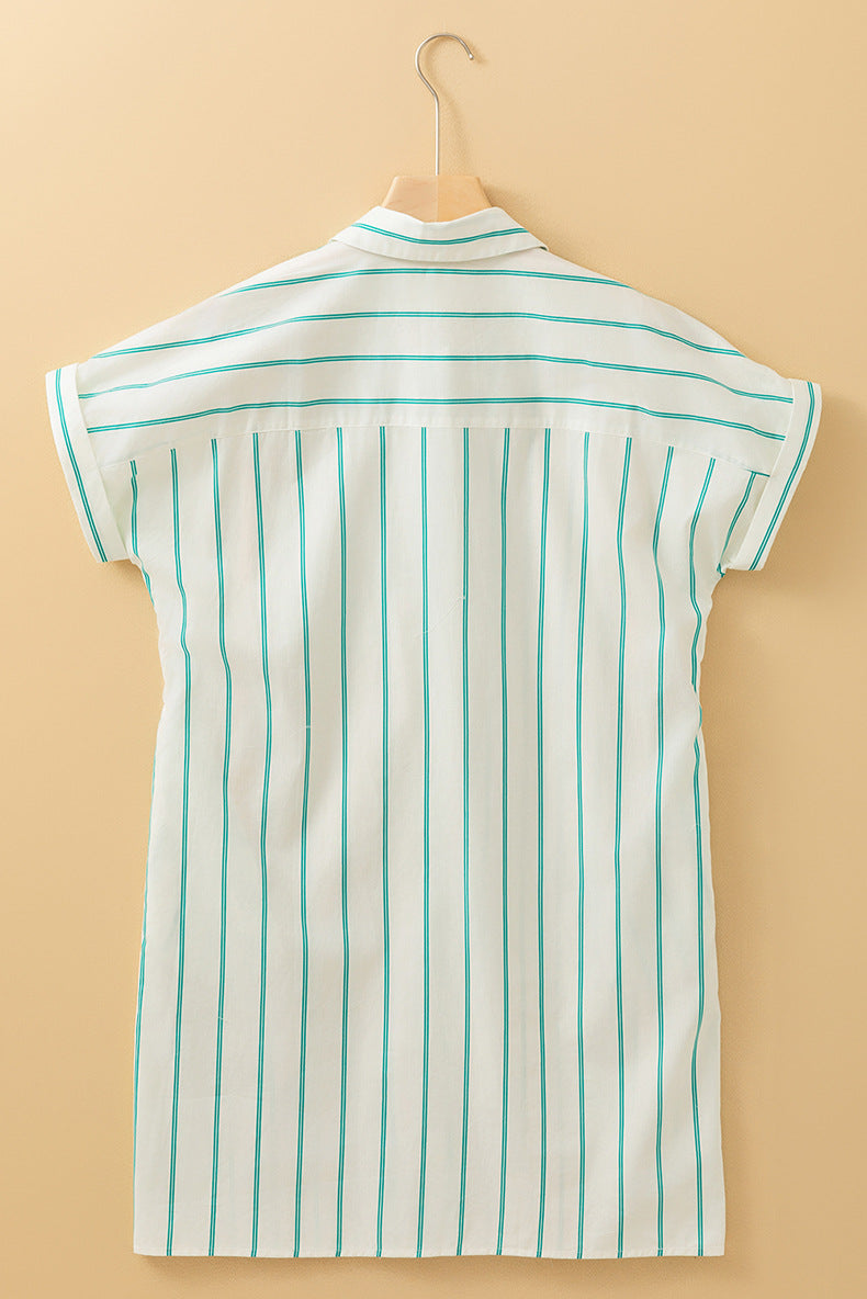 Striped Mini Pocket Shirtdress