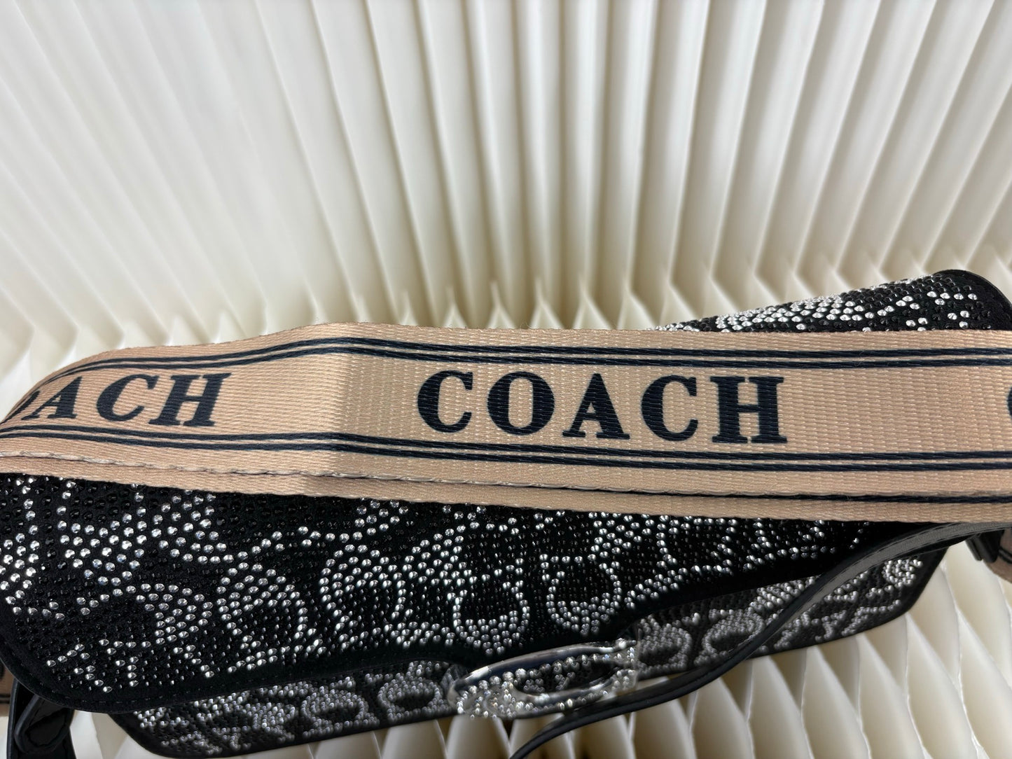 Coach Sparkling Crossbody Bag