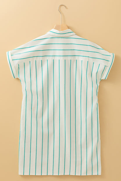 Striped Mini Pocket Shirtdress