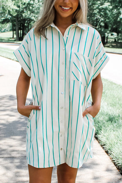 Striped Mini Pocket Shirtdress