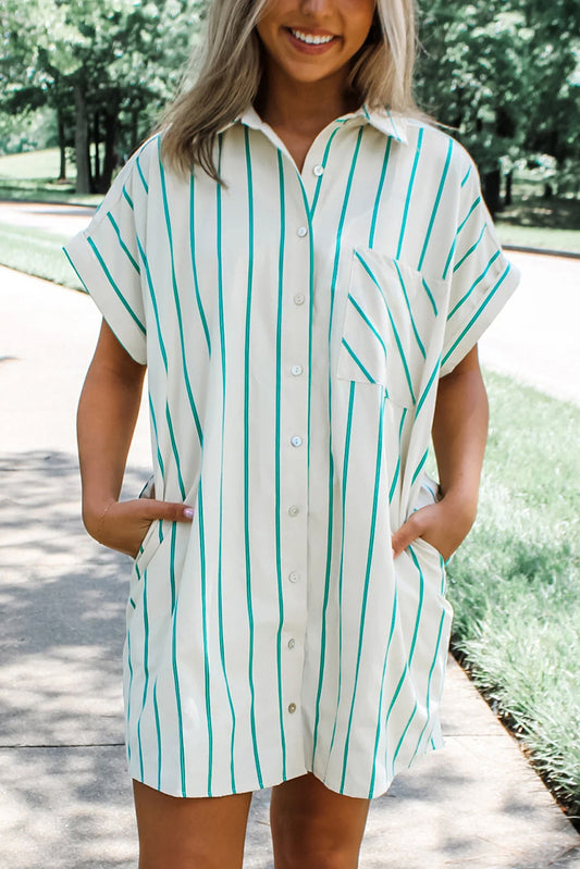 Striped Mini Pocket Shirtdress