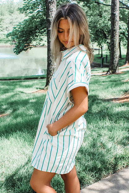 Striped Mini Pocket Shirtdress