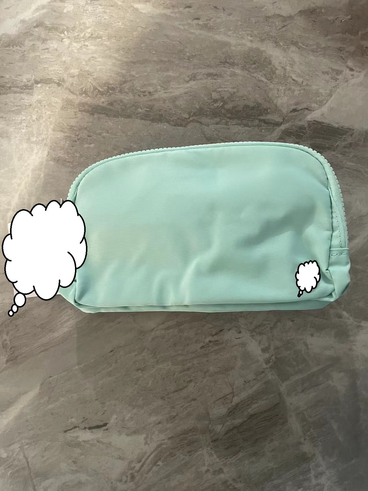 Everywhere Belt Bag